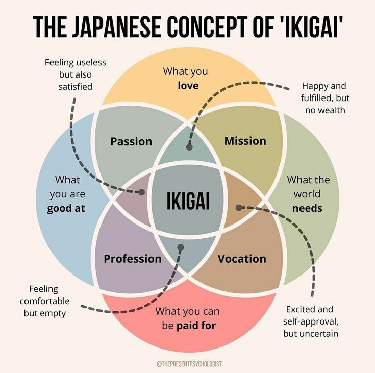 Ikigai: The Japanese Secret to a Long and Happy Life